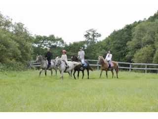 ムツ牧場 ひだまり乗馬クラブ
