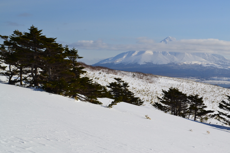 礼文島自然ガイド