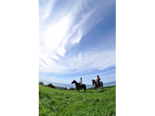 遊馬ランドグラスホッパー