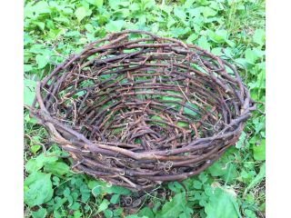 カンガルーファクトリー