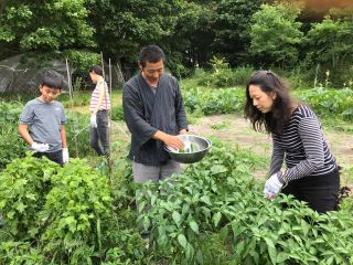 自然栽培ただし〜農園