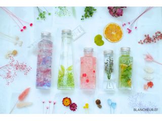 ブランシュール