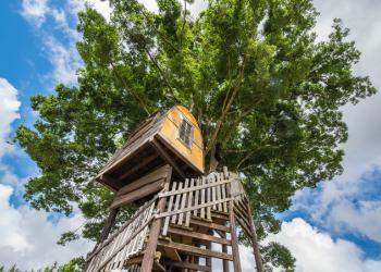 一番星ヴィレッジ　市原オートキャンプ場