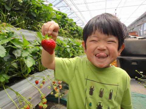 狭山ベリーランド