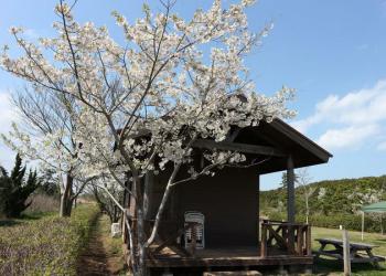 神栖市営 日川浜オートキャンプ場