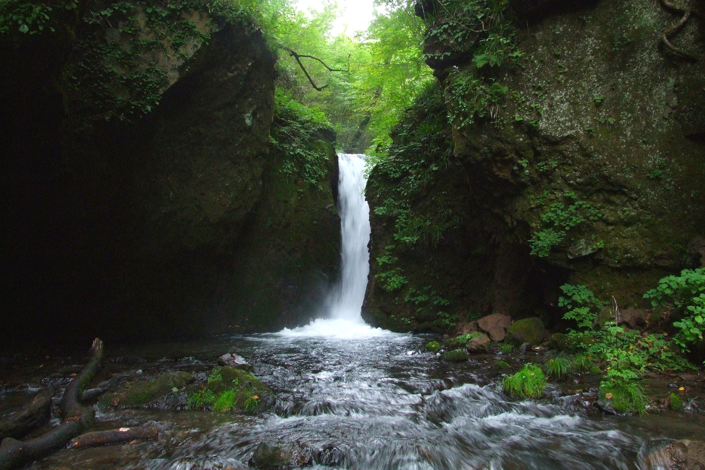 軽井沢トラベル&コンサルティング