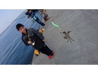 ガイドネイチャーズタイム