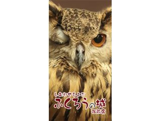 しあわせをよぶふくろうの城弘前店