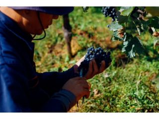 紫波フルーツパーク