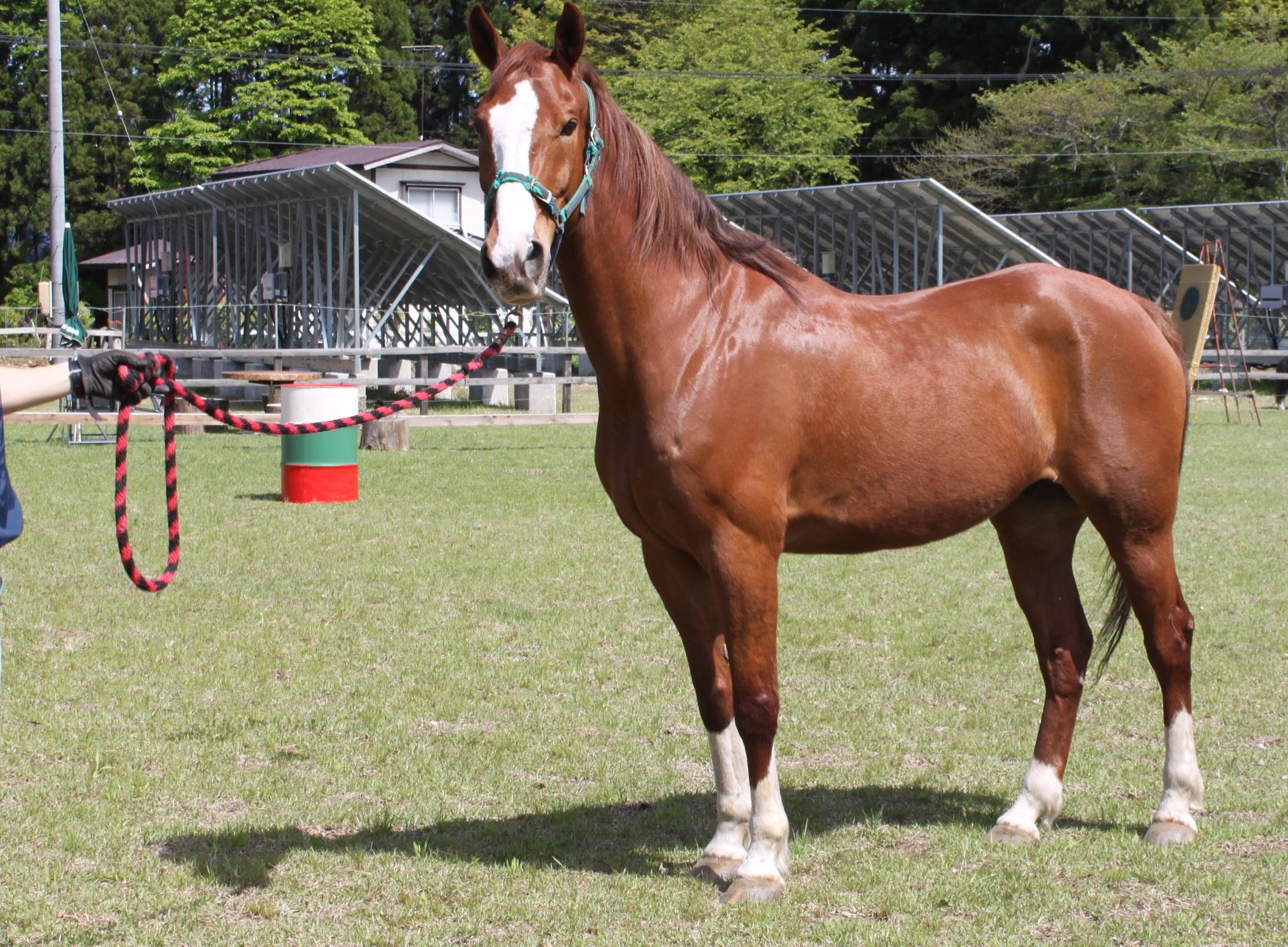 しずくいしYUーYUファーム