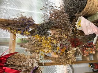 潮風のハーブ園