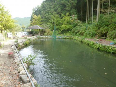 矢納フィッシングパーク