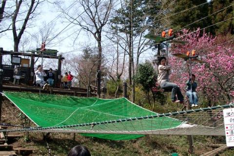 市川自然公園 ありのみコース