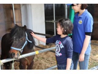 山元夢ファーム