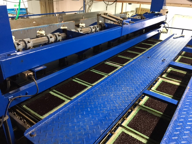 マルマサ　近藤水産