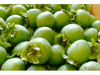 まゆっこ・かきっこ