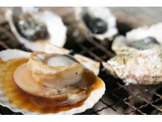 南三陸金比羅丸