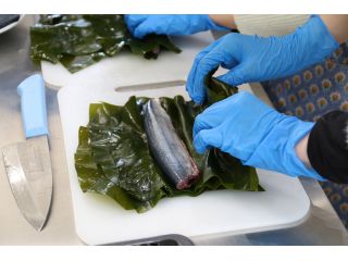 女川水産業体験館