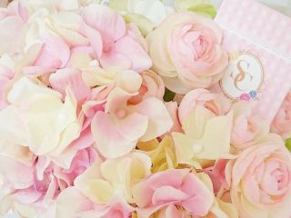 shushu　la　corolle