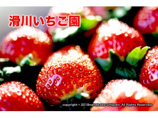 滑川いちご園