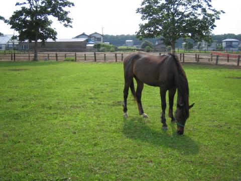 ファーム・クラインガルテン