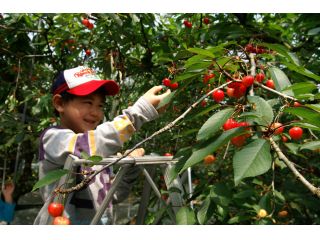 東根市観光物産協会