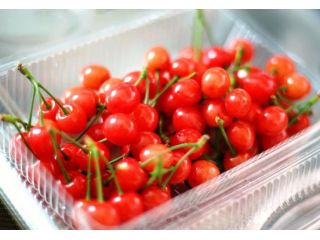 マルハラ果樹園