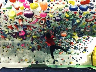 クライミングパーク　ドロップイン