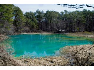 裏磐梯エコガイドの会