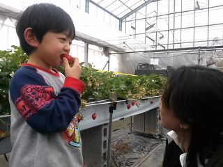 観光園　久ちゃん