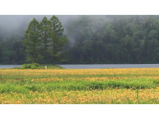 尾瀬桧枝岐浪漫紀行