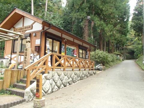 足柄森林公園 丸太の森