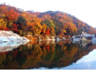 株式会社 読売旅行