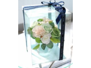 DDT　FLOWERS　新宿