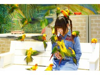 鳥のいるカフェ浅草店