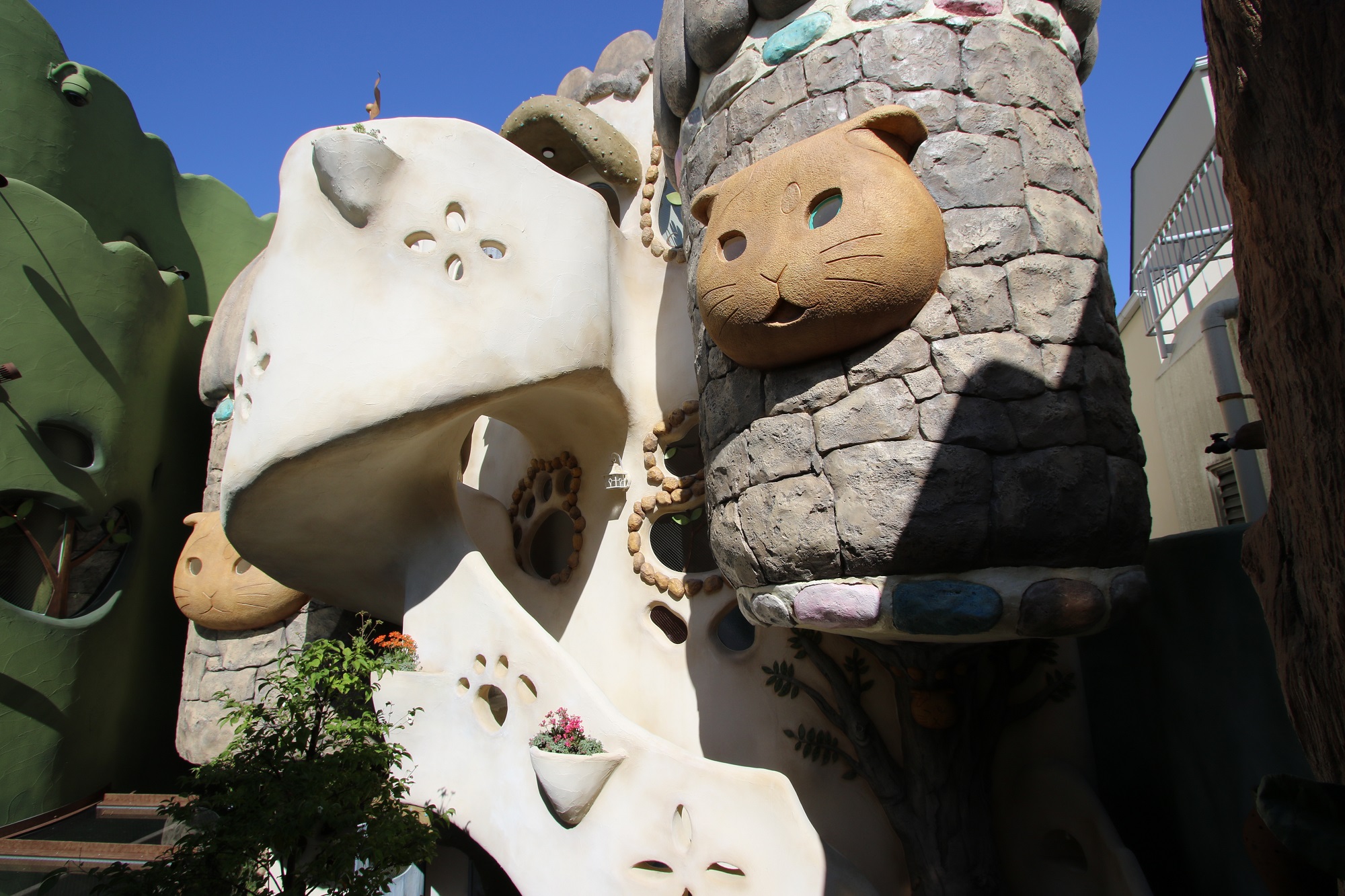 猫カフェ『てまりのおしろ』