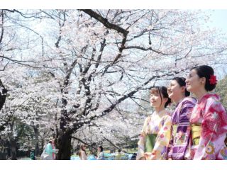 modern kimono 笹香