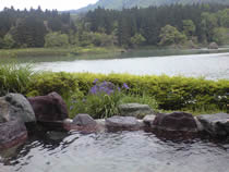 絵かきの宿 福泉