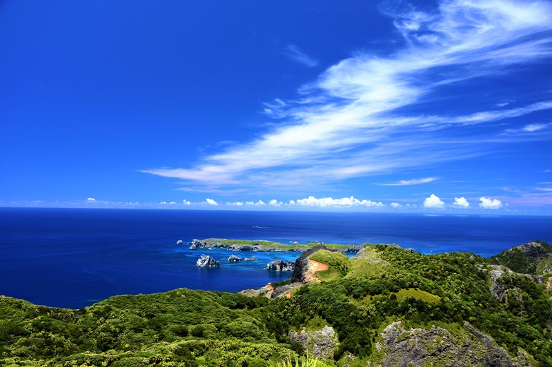 ボニンブルーシマ