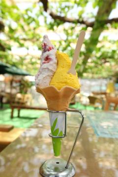 フルーツランド 白根グレープガーデン