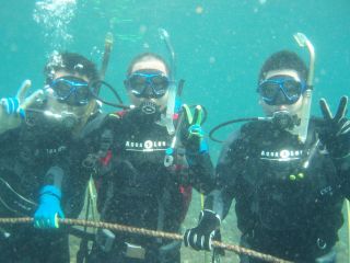 日本ダイビングステーション