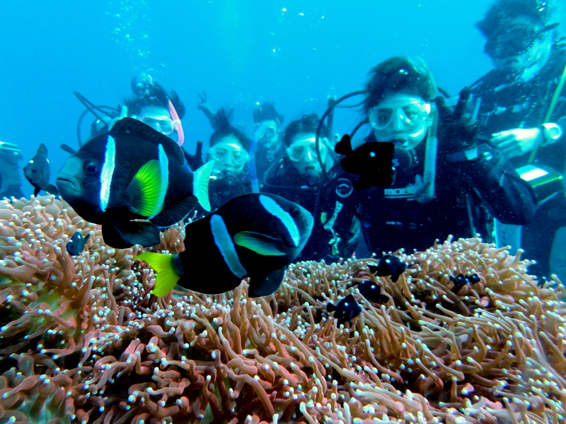 AQUAVIT伊豆大島店
