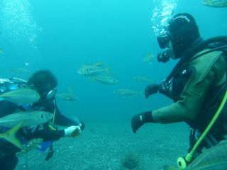 ルパン・ダイビングショップ