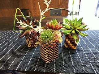 君思い、花は微笑む