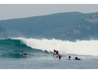 ドロンズショップ