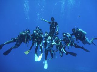 ダイビングスクールブルーポイント