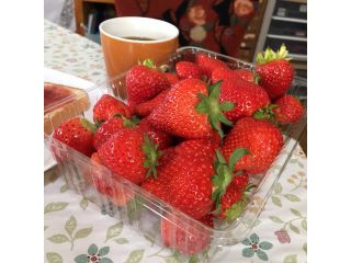 ストロベリーファームくぼじま