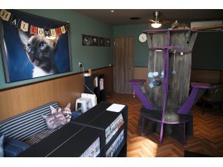 猫カフェ　Saiam