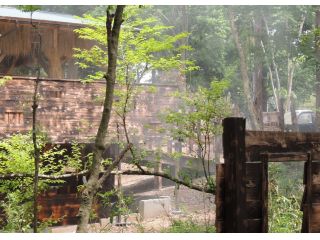 サバイバルフィールド　BEAM