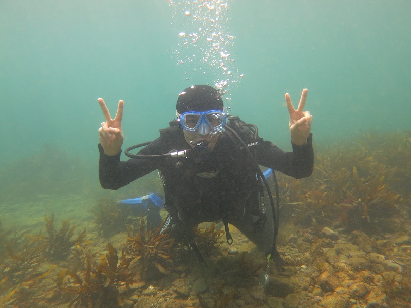 ダイビングショップかめはうす